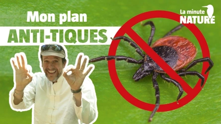 En finir avec le cauchemar des tiques !