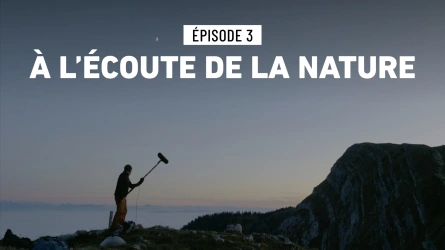 A l'écoute de la nature - épisode 3
