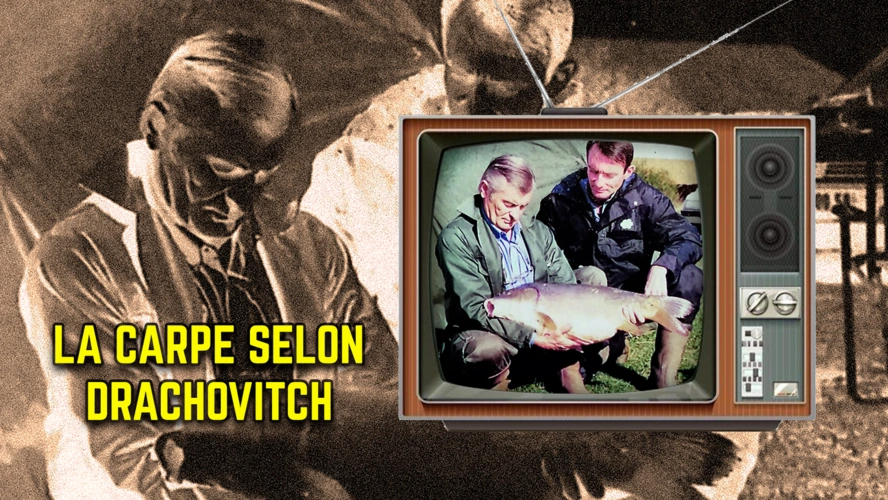 La Carpe selon DRACHKOVITCH