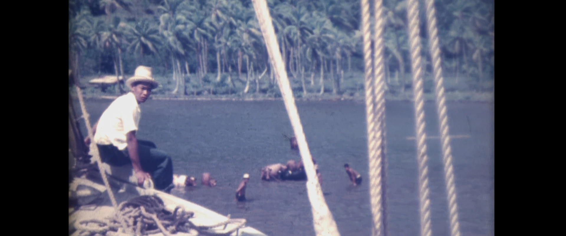 Archives HD Tahiti Films - Hissage de bovins sur une goélette dans les îles