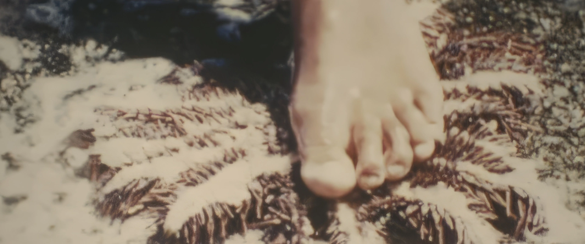 Archives HD Tahiti Films - Taramea