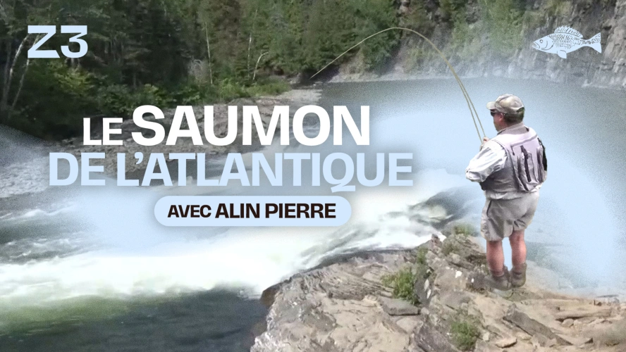 Le saumon de l'atlantique en Gaspesie, avec Alin Pierre