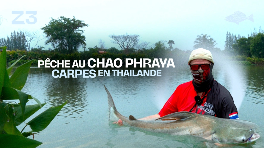 Pêche au Chao Phraya et carpes en Thailande