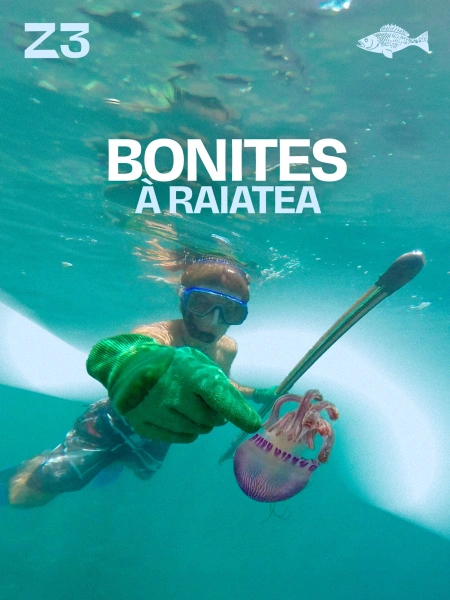 Bonites à Raiatea
