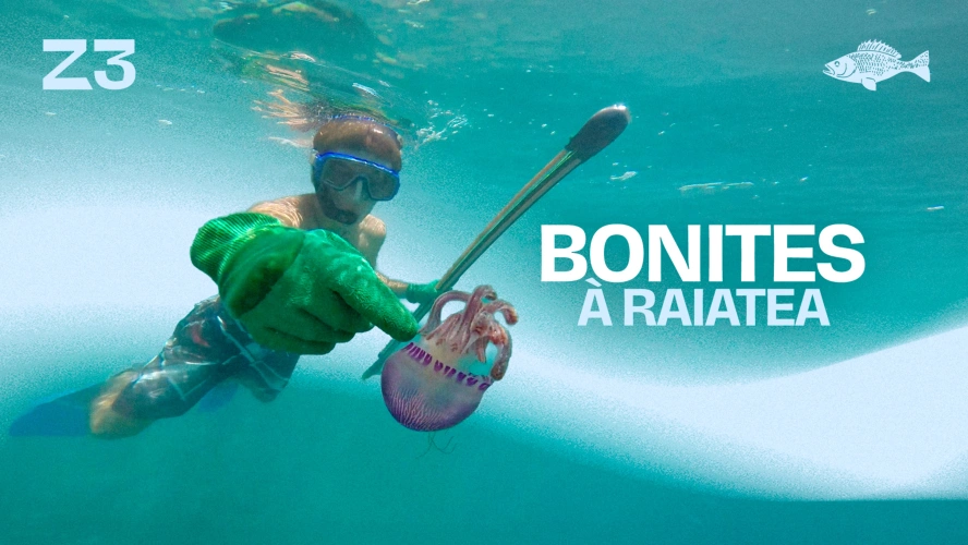 Bonites à Raiatea