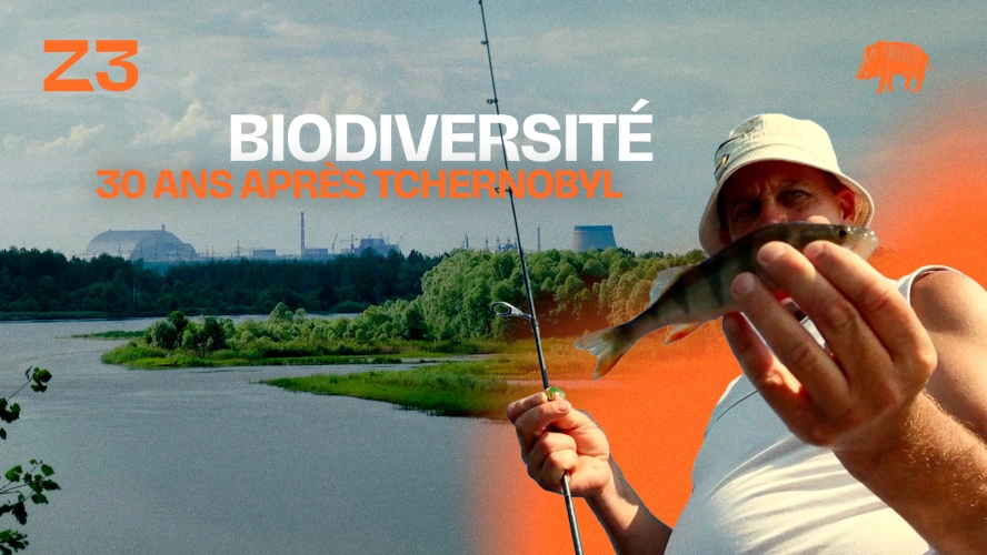Biodiversité 30 ans après Tchernobyl