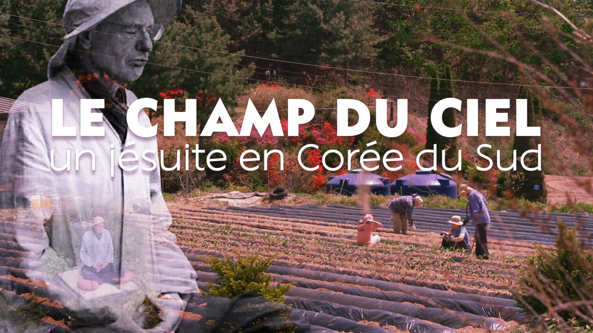 Le champ du ciel, un jésuite en Corée du Sud