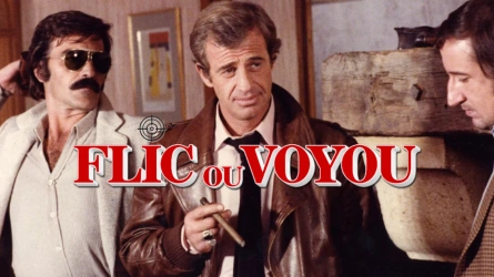 Flic ou voyou