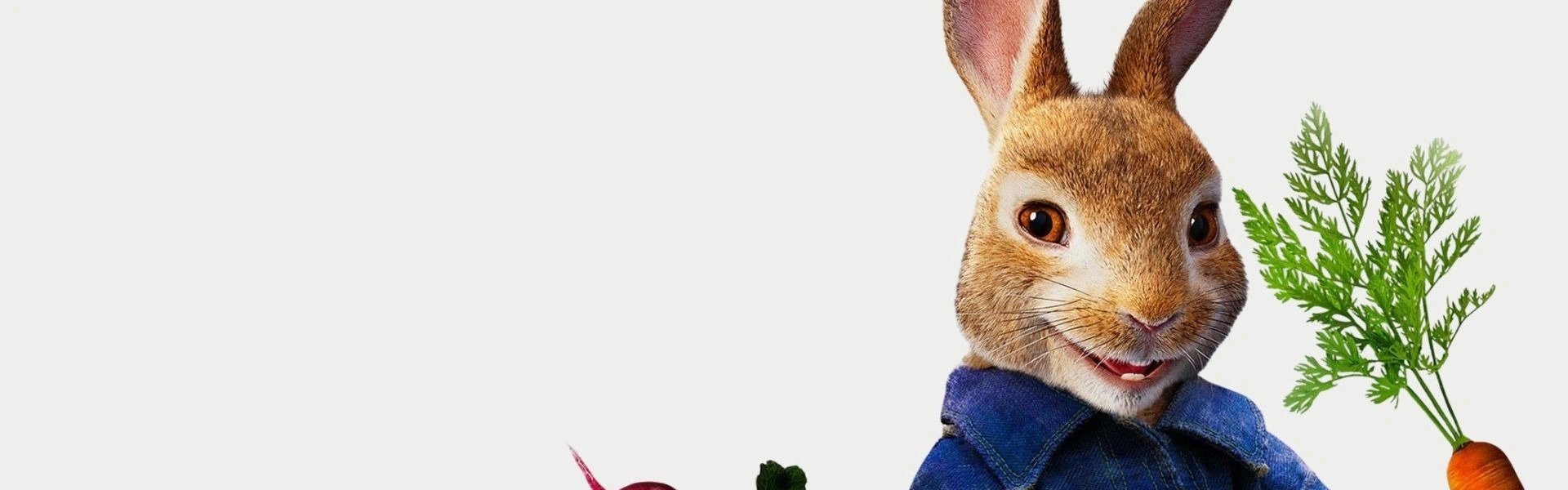 Pierre Lapin
