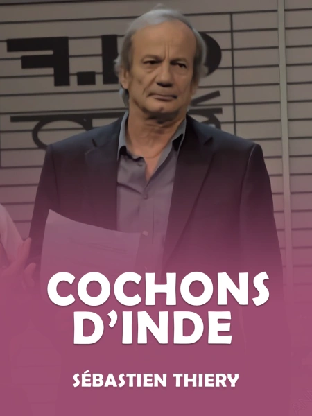 Cochons d'Inde