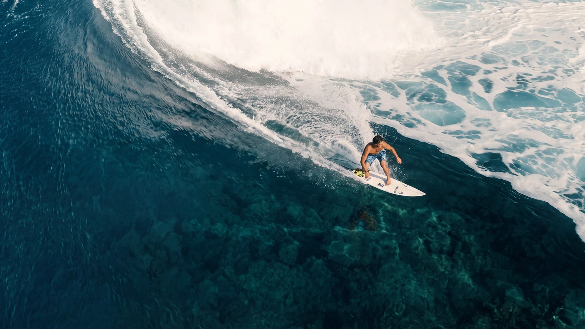 Tahitian Swell
