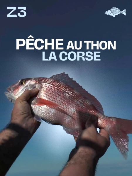 Pêche au thon - la Corse