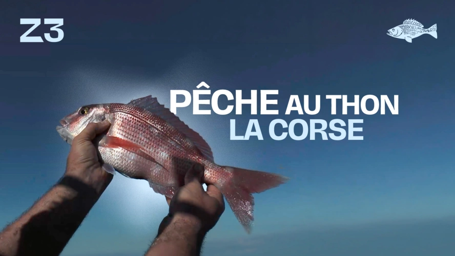 Pêche au thon - la Corse