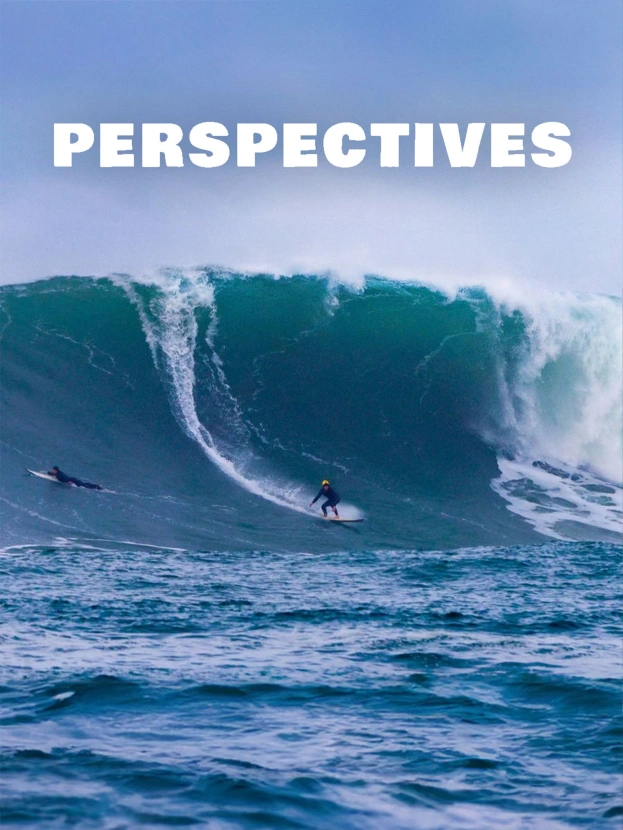 Perspectives