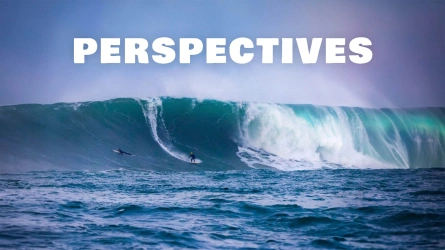 Perspectives