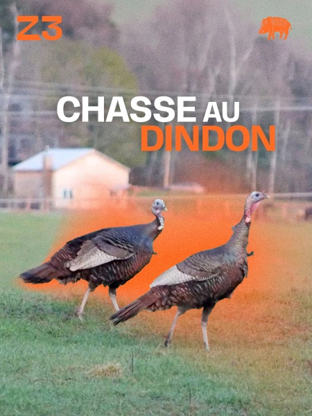 Chasse au dindon