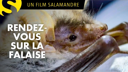 Rendez-vous sur la falaise