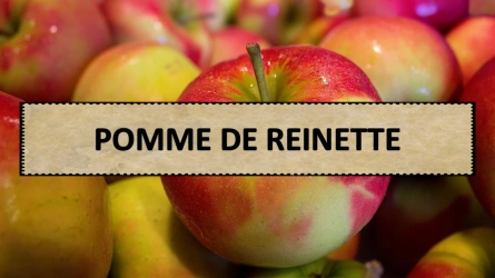 Quiz - Pomme de Reinette