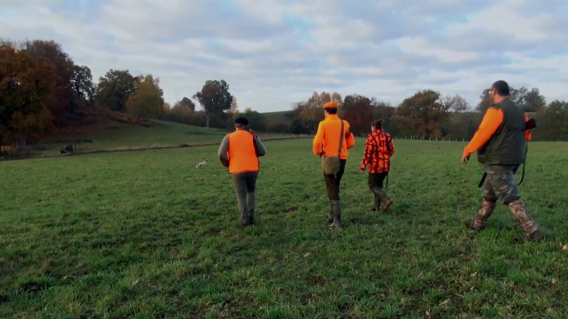 Chasse à la plume