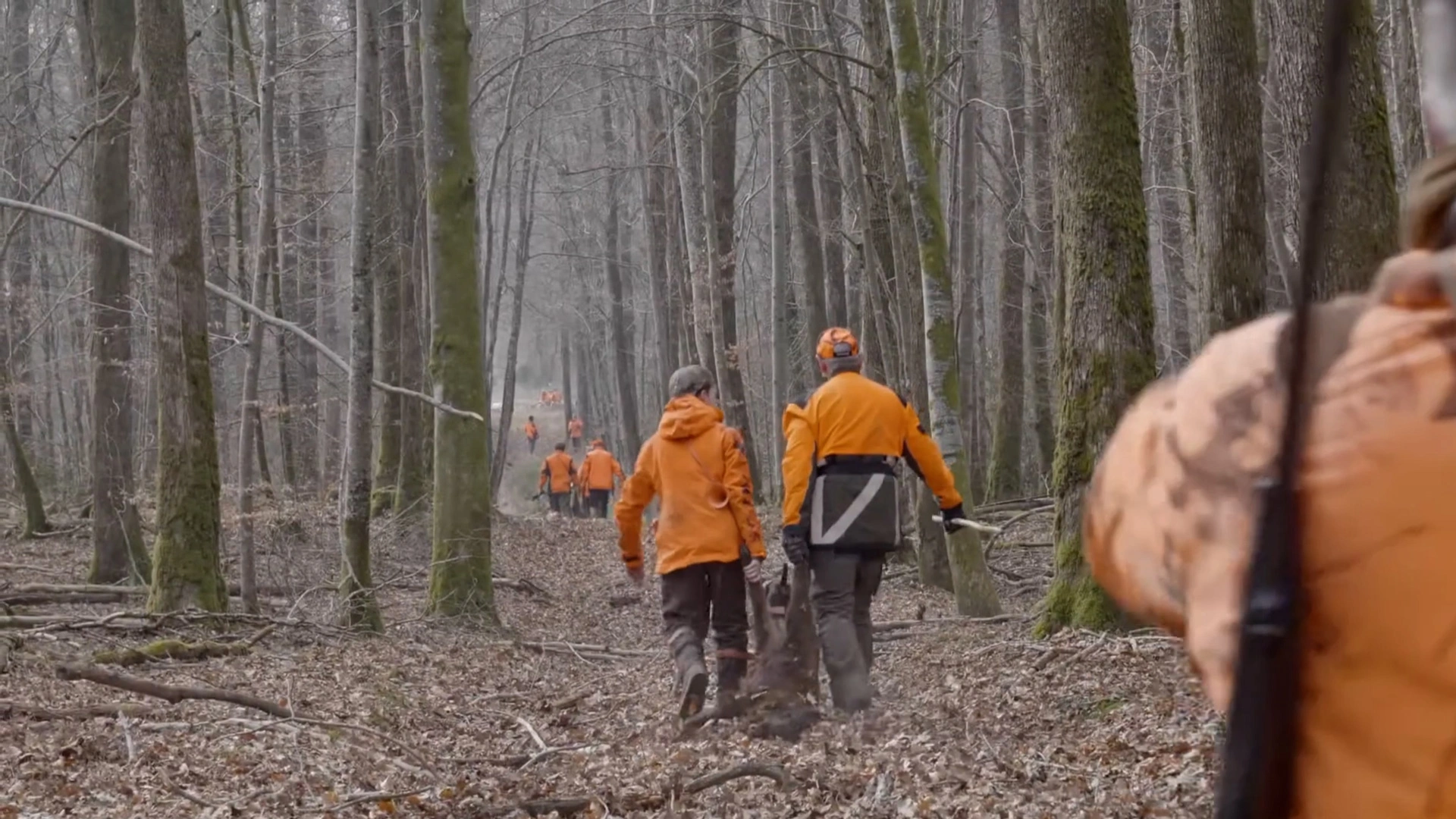 Pourquoi je chasse - Episode 01 - Battue en Sologne