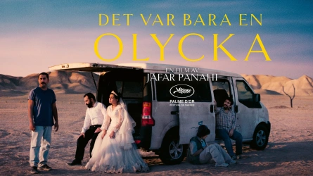 Det var bara en olycka