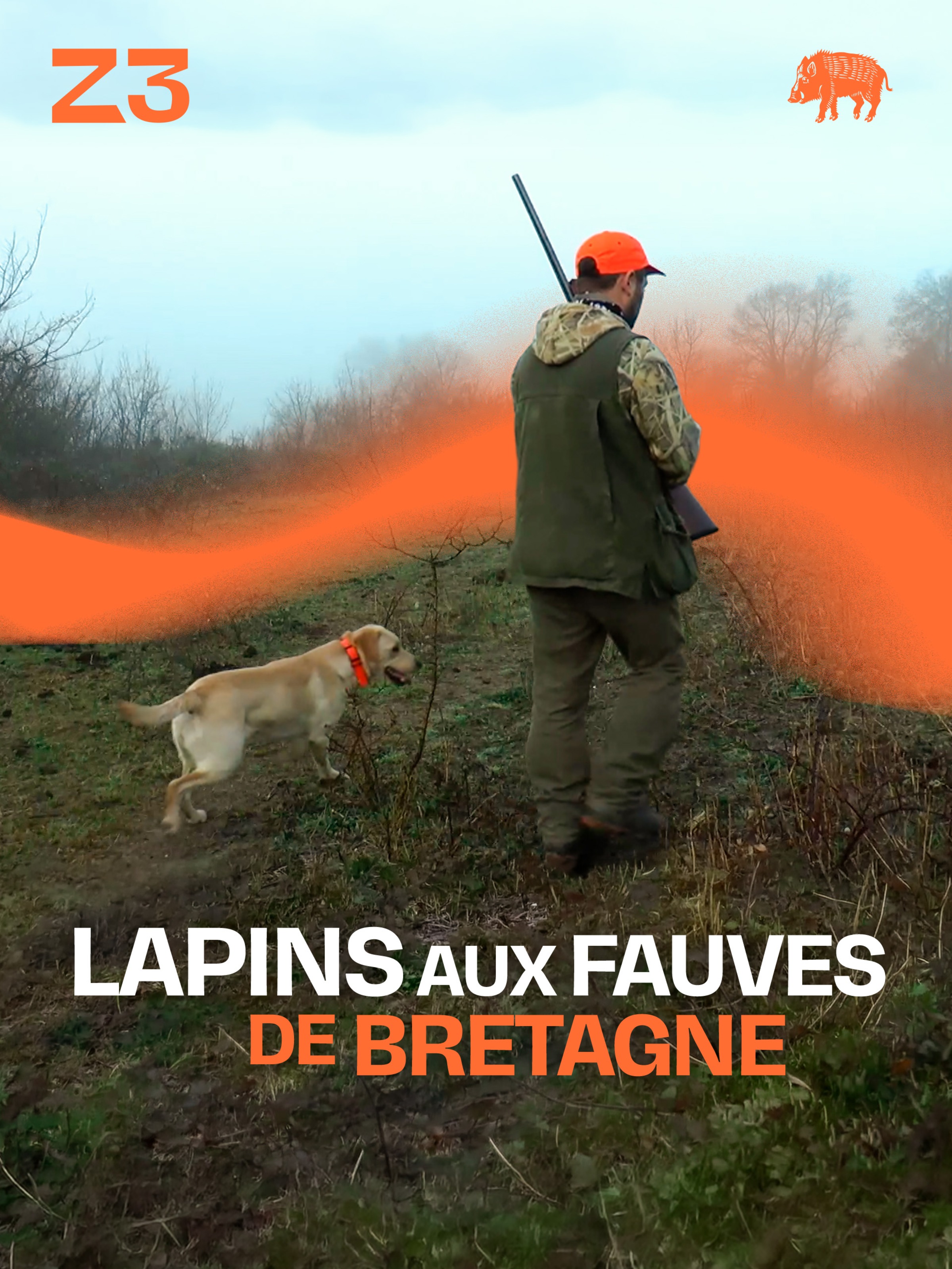 Lapins aux fauves de Bretagne et aux labradors