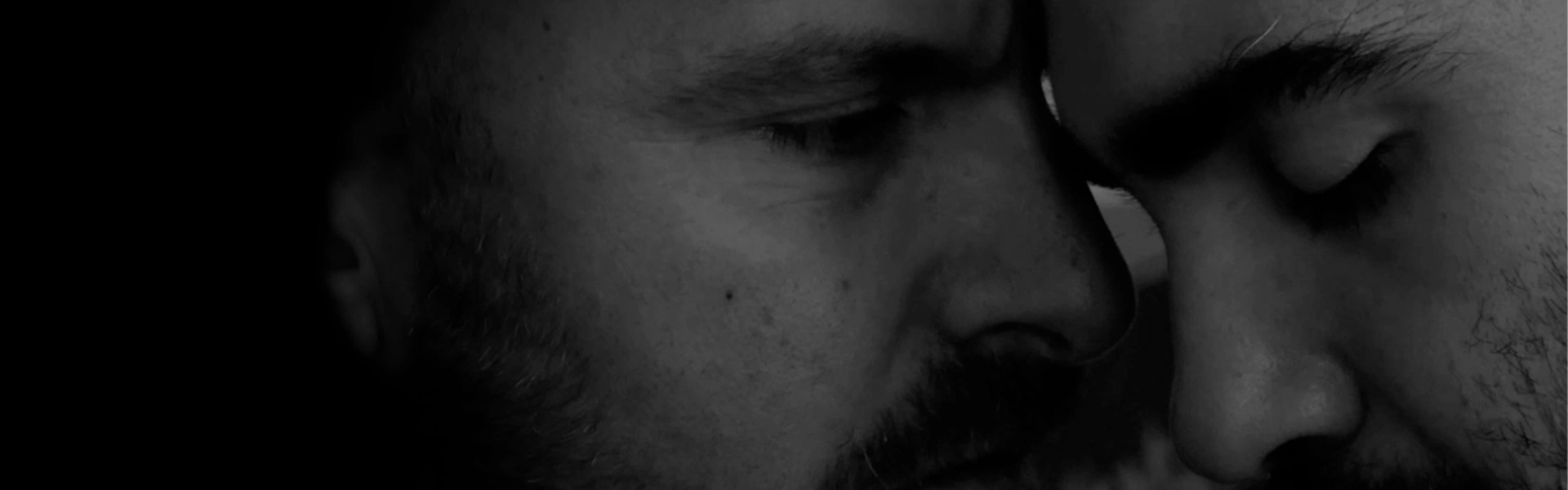 Le gémeaux aux deux visages