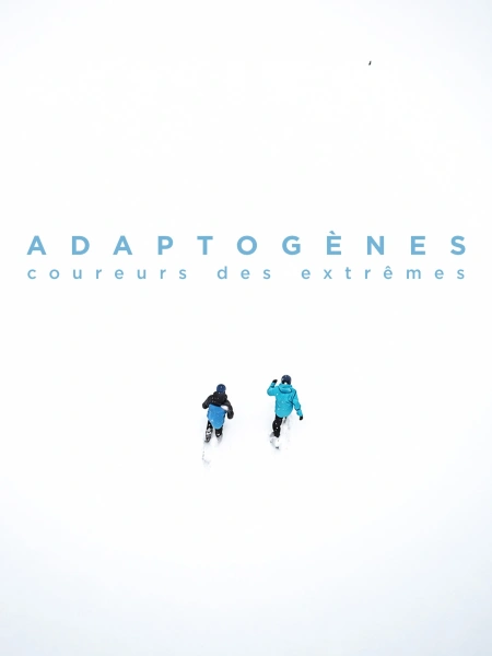 Adaptogènes