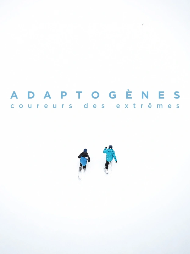 Adaptogènes
