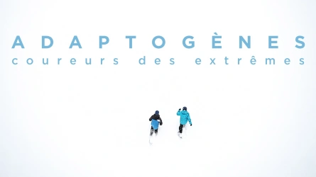 Adaptogènes