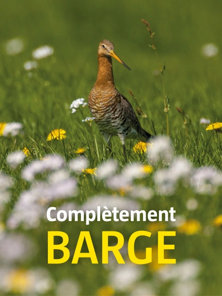 Complètement barge