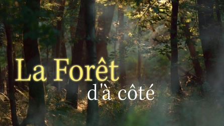 La forêt d'à côté