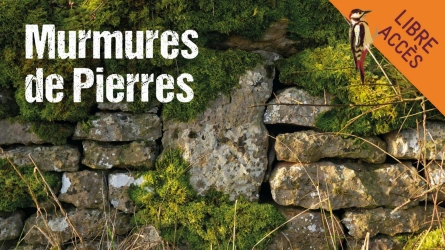 Murmures de pierres