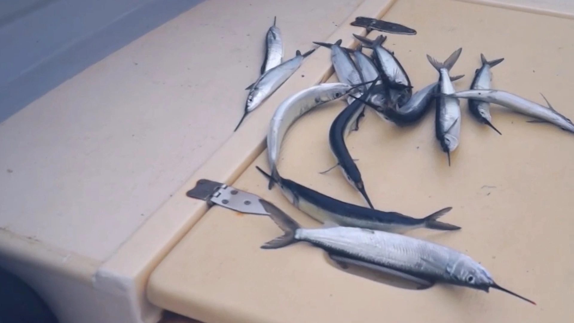 Marlin des Almadies