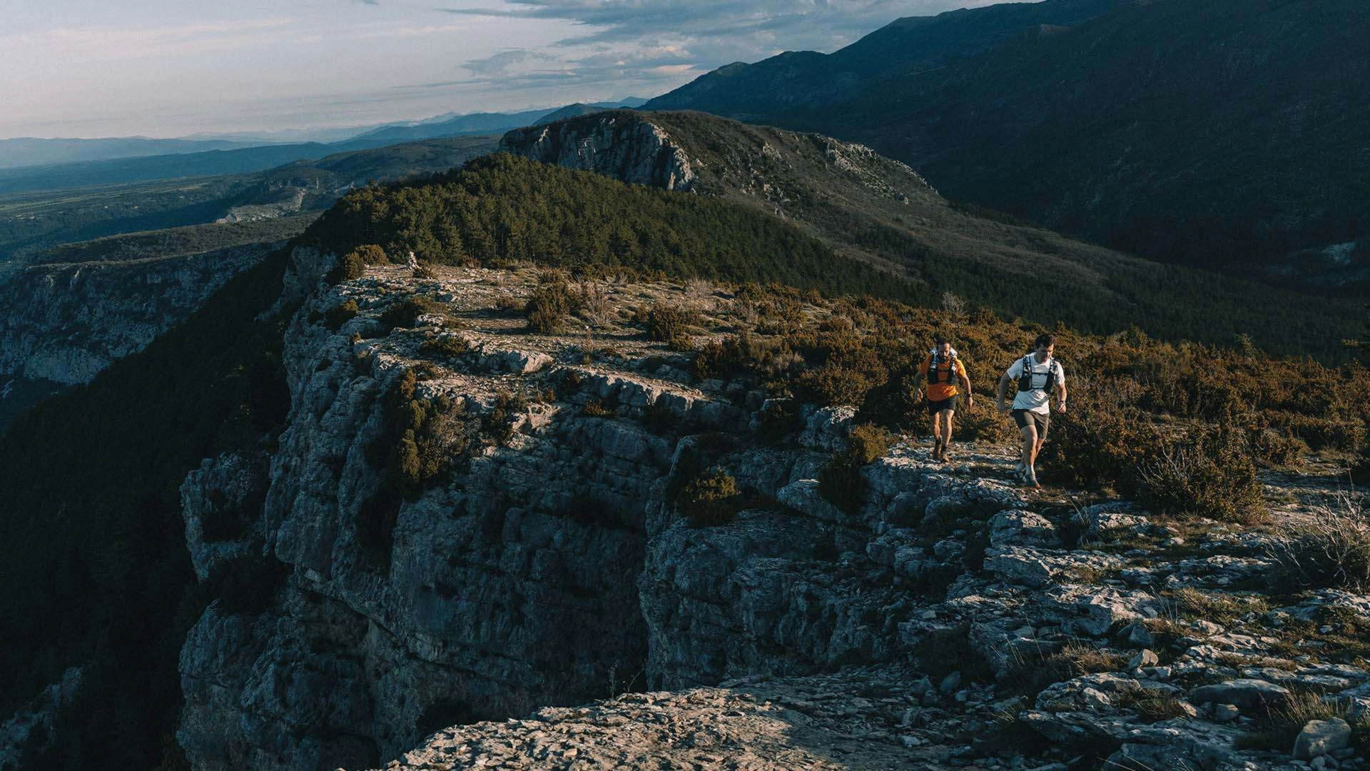 Viva  Verdon