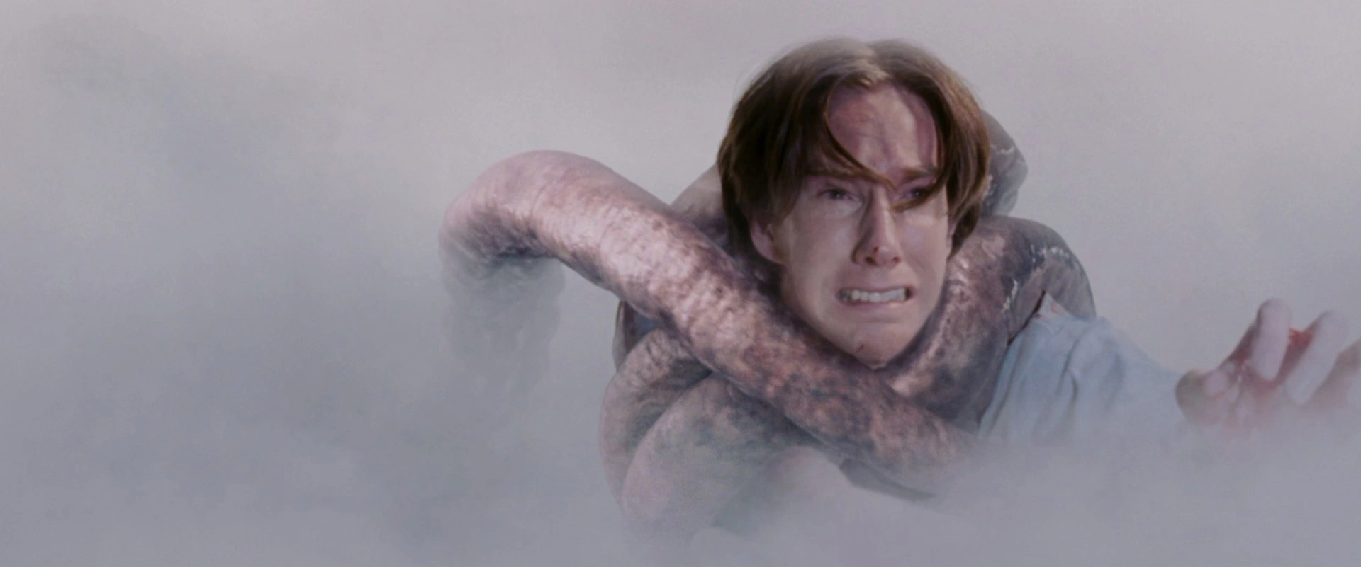 The Mist