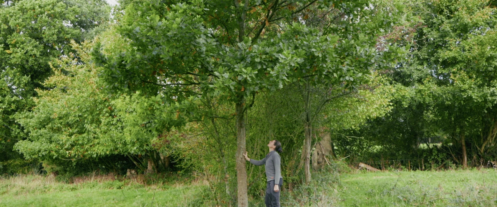 Croire aux arbres