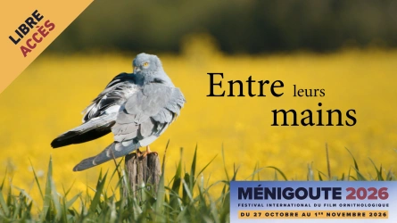 Entre leurs mains