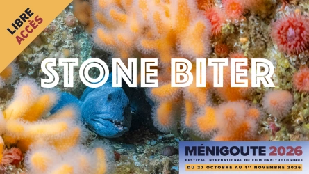 Stone biter