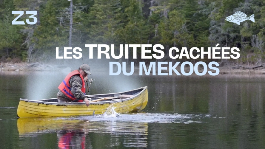 Les truites cachées du Mekoos