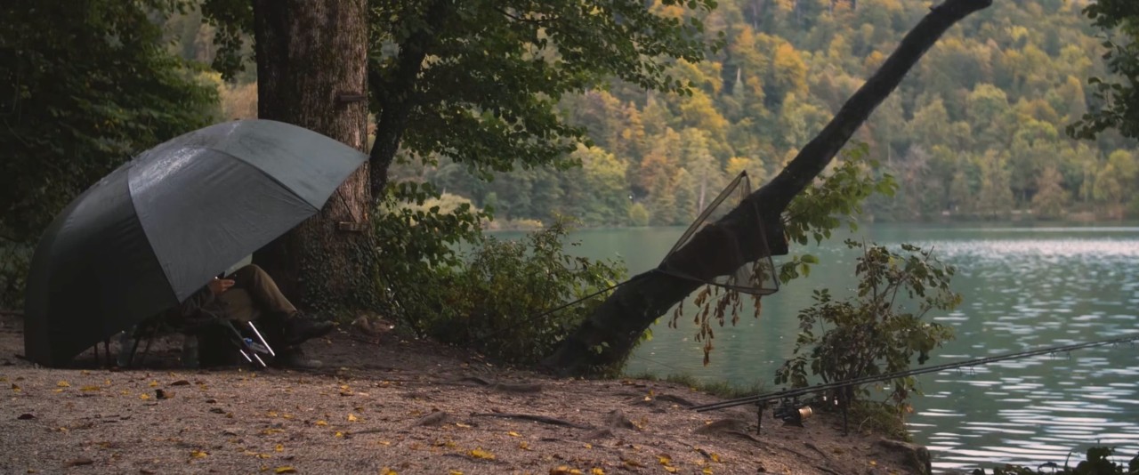 Carp Follow Bled - part 2