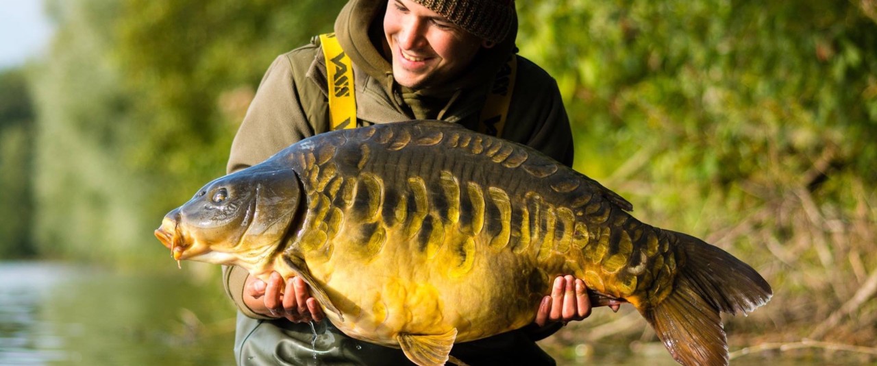 INTERVIEW - Pierre MEYER