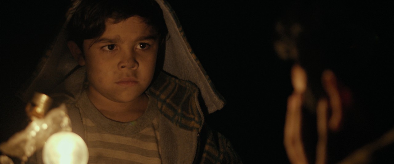 Os Tigres Não Têm Medo