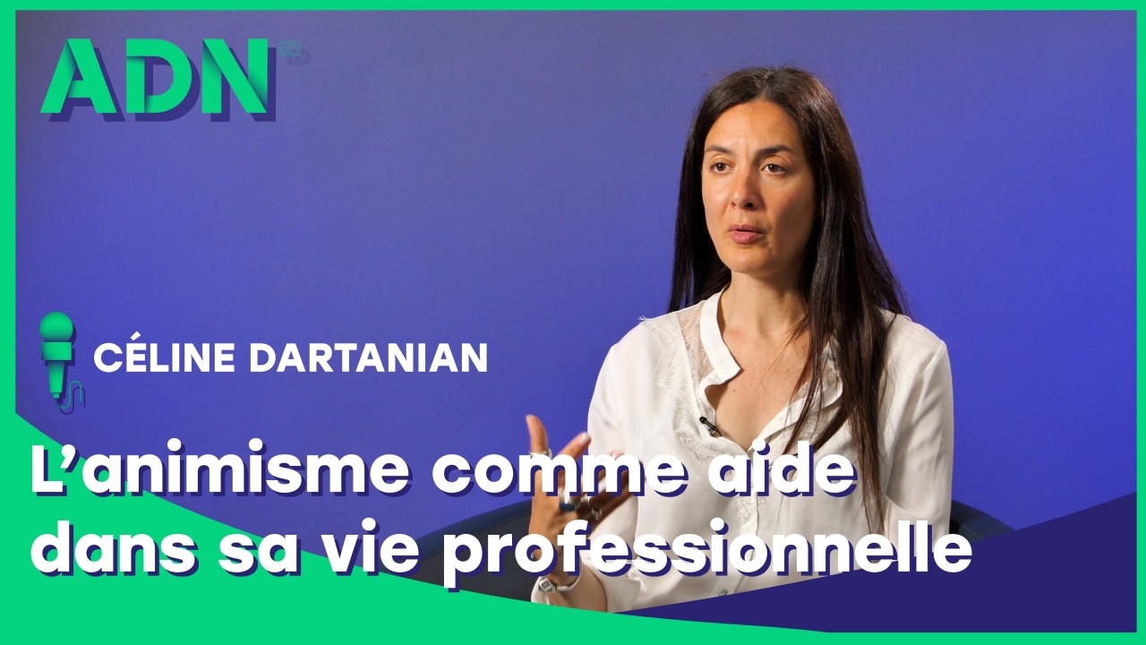 L’animisme comme aide dans sa vie professionnelle