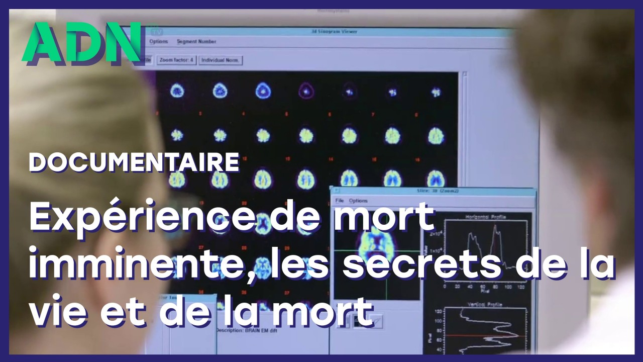 Expérience de mort imminente, les secrets de la vie et de la mort