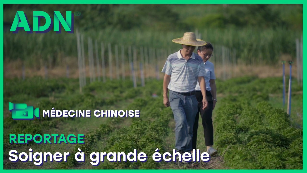 Soigner à grande échelle