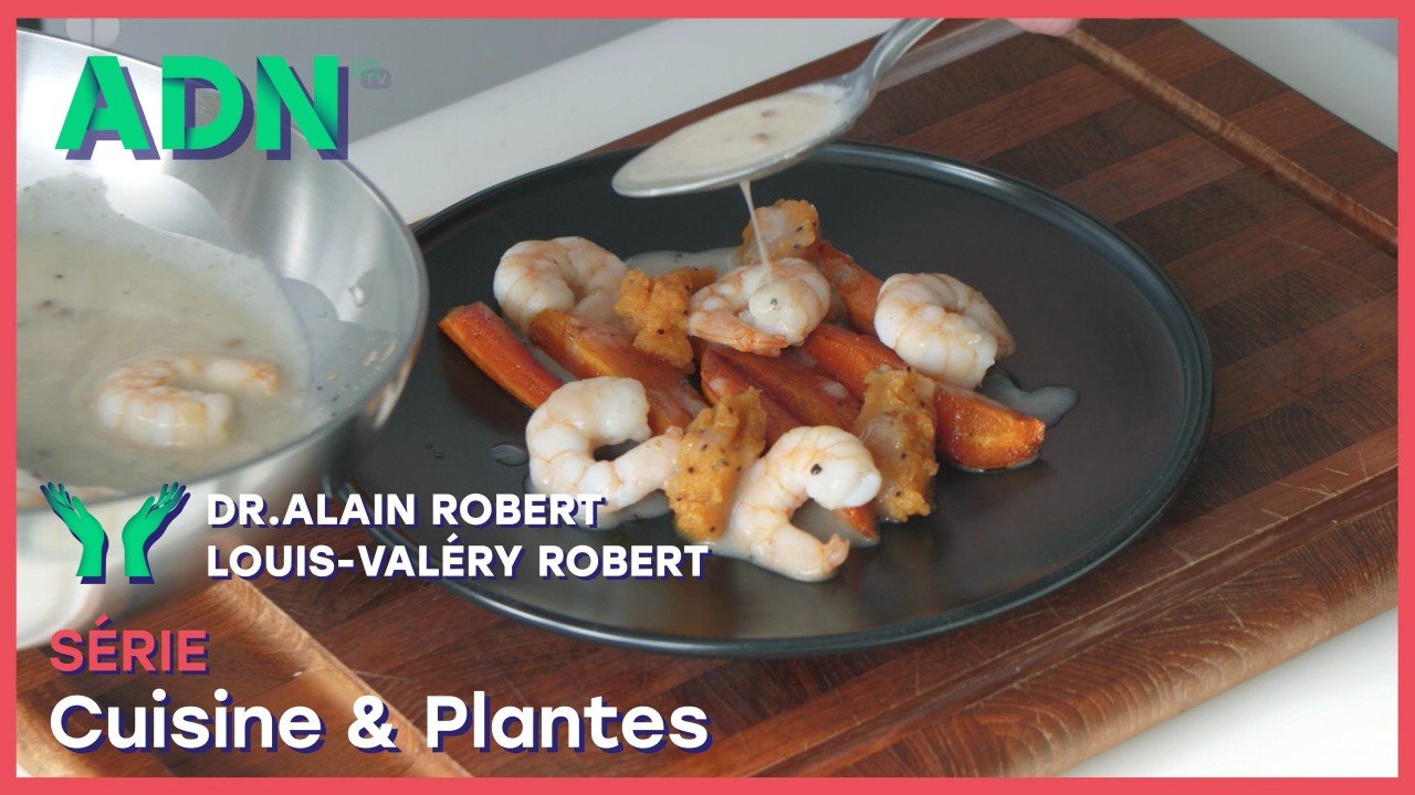 Cuisine & Plantes - Série