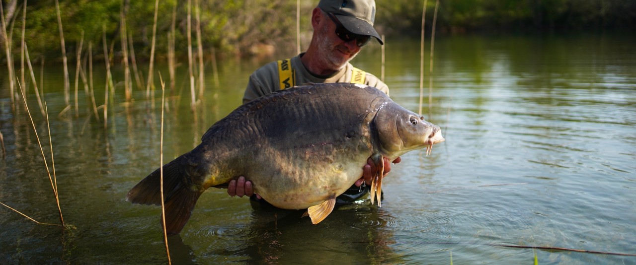 "CARPES DE SOUCHE" sur l'étang des peupliers.