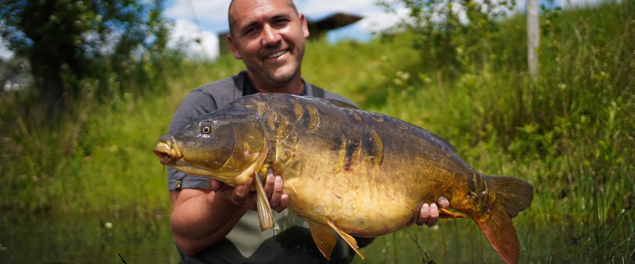 CARPES NUCLÉAIRES sur l'étang des Genièvres