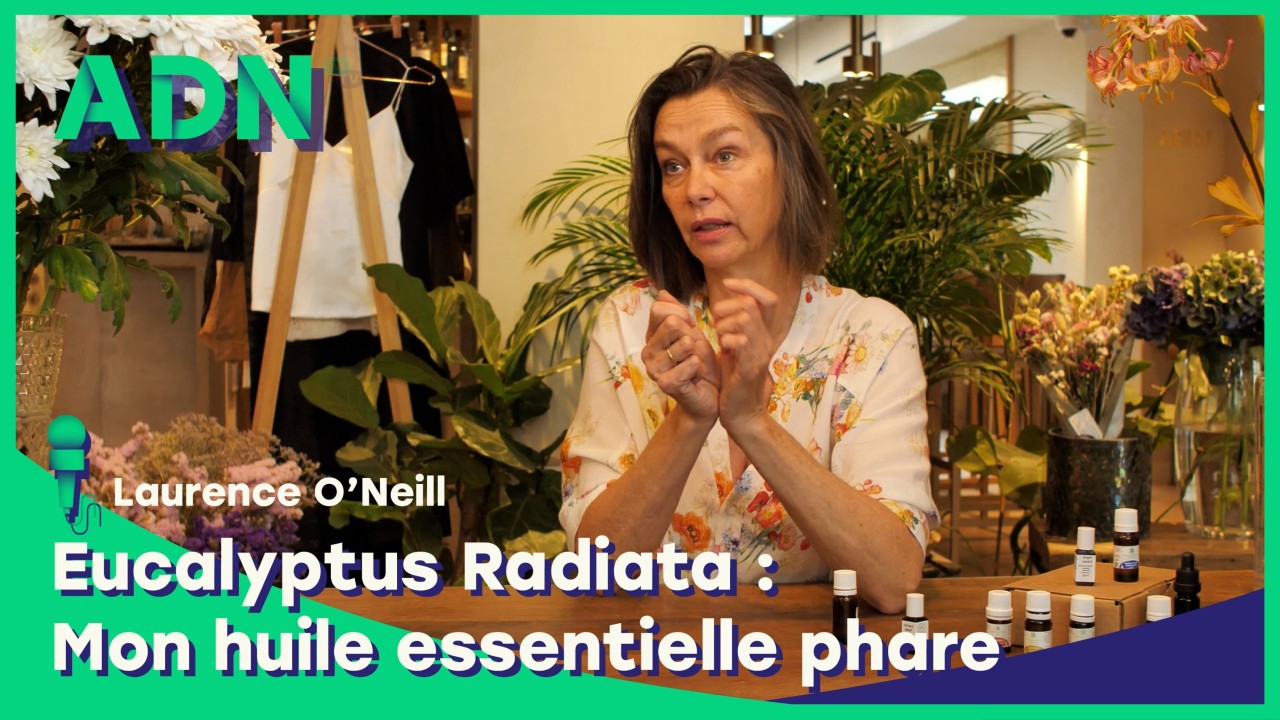 Eucalyptus Radiata : Mon huile essentielle phare